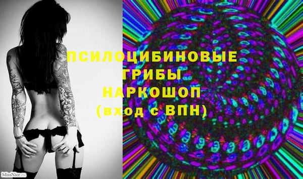 ГАЛЛЮЦИНОГЕННЫЕ ГРИБЫ Алзамай