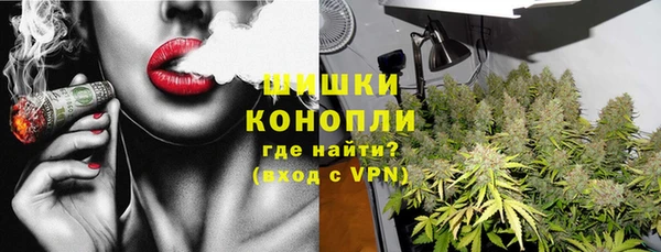 ГАЛЛЮЦИНОГЕННЫЕ ГРИБЫ Алзамай