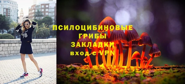 метадон Армянск