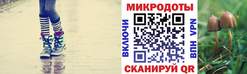 Псилоцибиновые грибы Psilocybine cubensis  купить   Приморск 